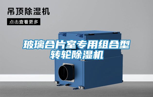 玻璃合片室专用组合型转轮除湿机