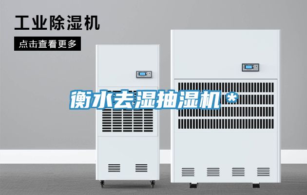 衡水去湿抽湿机＊