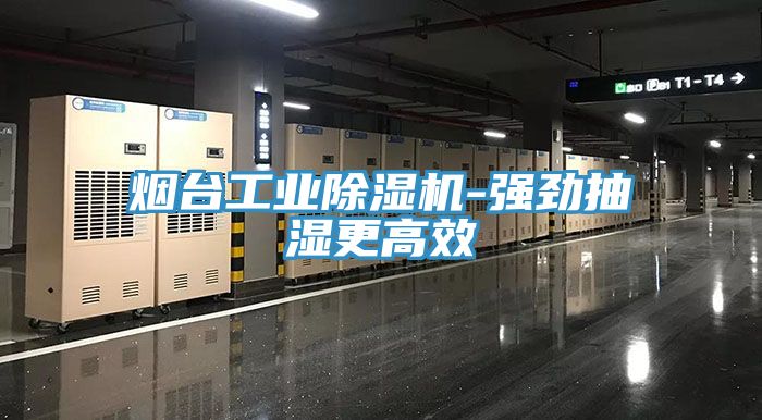 烟台工业除湿机-强劲抽湿更高效