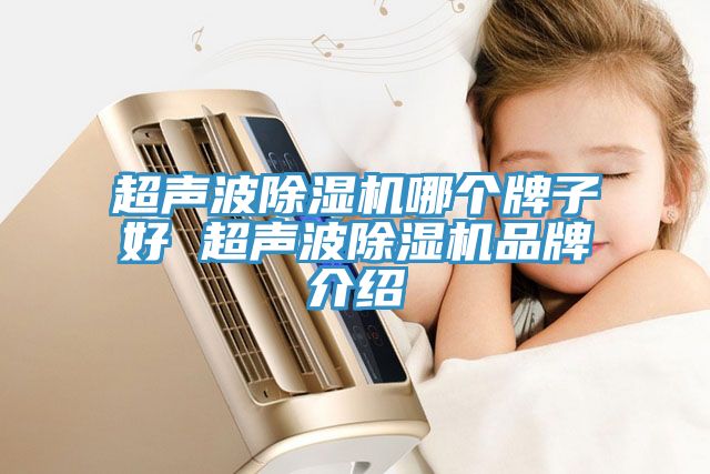 超声波除湿机哪个牌子好 超声波除湿机品牌介绍