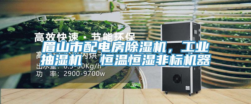 眉山市配电房除湿机，工业抽湿机  恒温恒湿非标机器