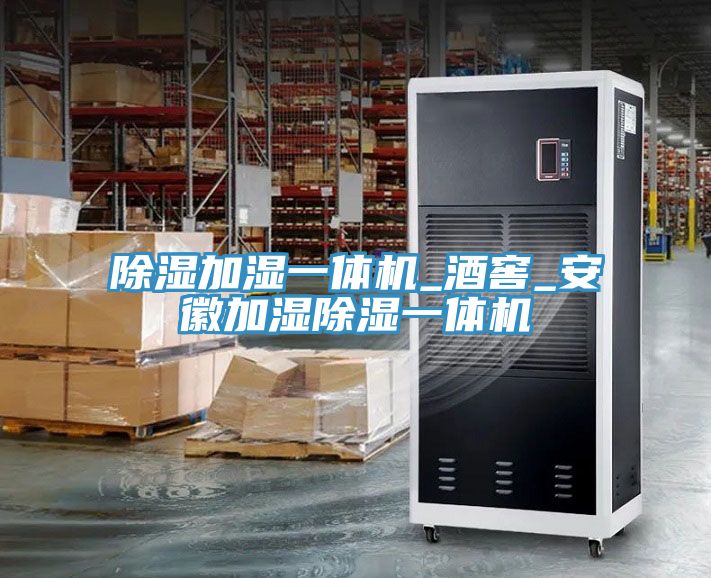 除湿加湿一体机_酒窖_安徽加湿除湿一体机