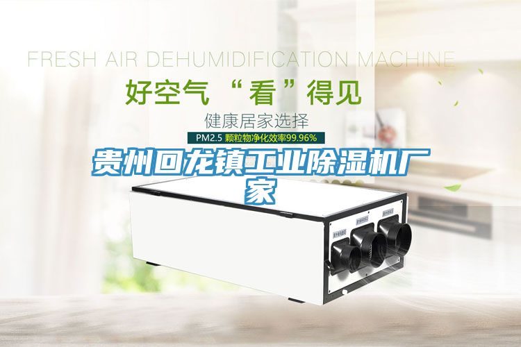 贵州回龙镇工业除湿机厂家