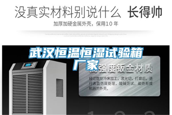 武汉恒温恒湿试验箱厂家