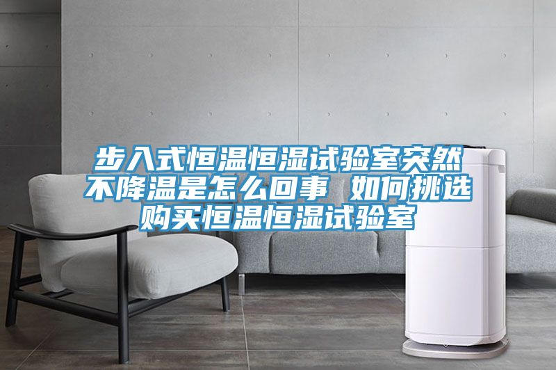 步入式恒温恒湿试验室突然不降温是怎么回事 如何挑选购买恒温恒湿试验室