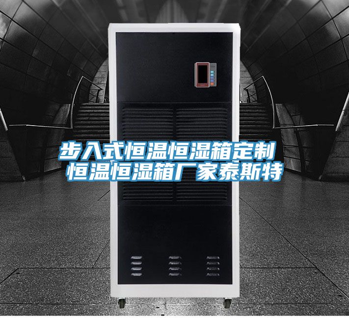 步入式恒温恒湿箱定制 恒温恒湿箱厂家泰斯特