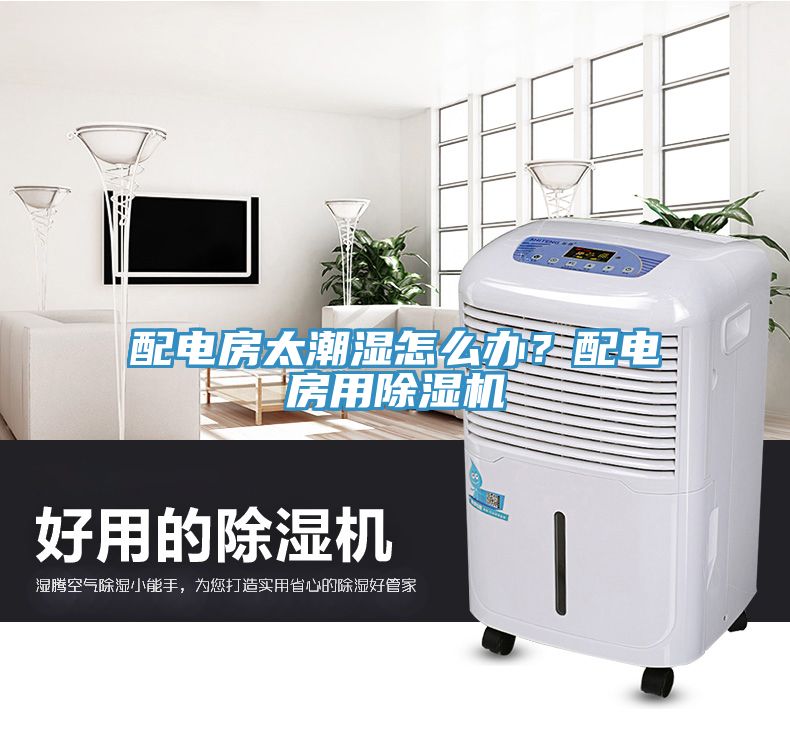 配电房太潮湿怎么办？配电房用除湿机