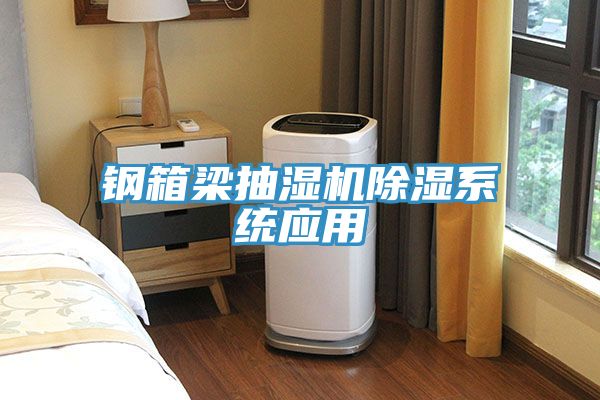 钢箱梁抽湿机除湿系统应用