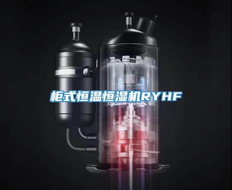 柜式恒温恒湿机RYHF
