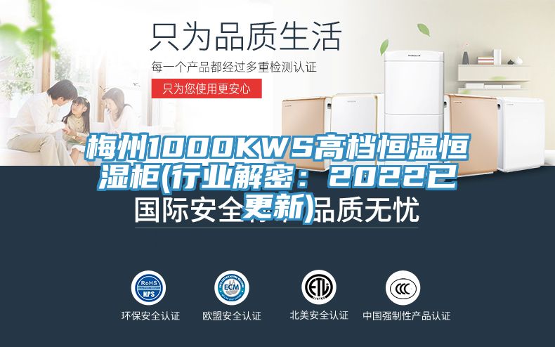 梅州1000KWS高档恒温恒湿柜(行业解密：2022已更新)