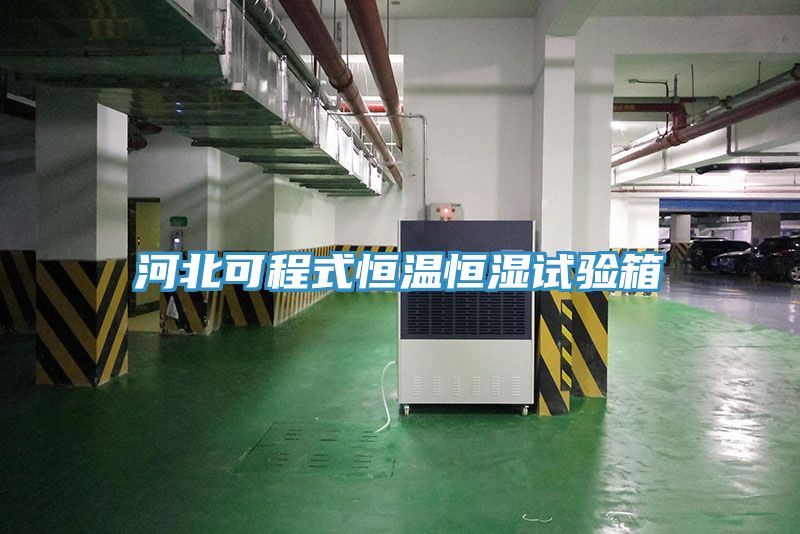 河北可程式恒温恒湿试验箱