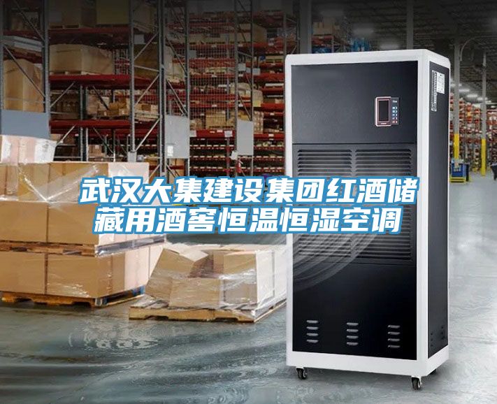 武汉大集建设集团红酒储藏用酒窖恒温恒湿空调