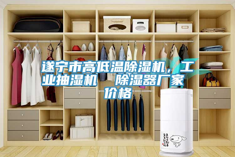 遂宁市高低温除湿机，工业抽湿机  除湿器厂家 价格