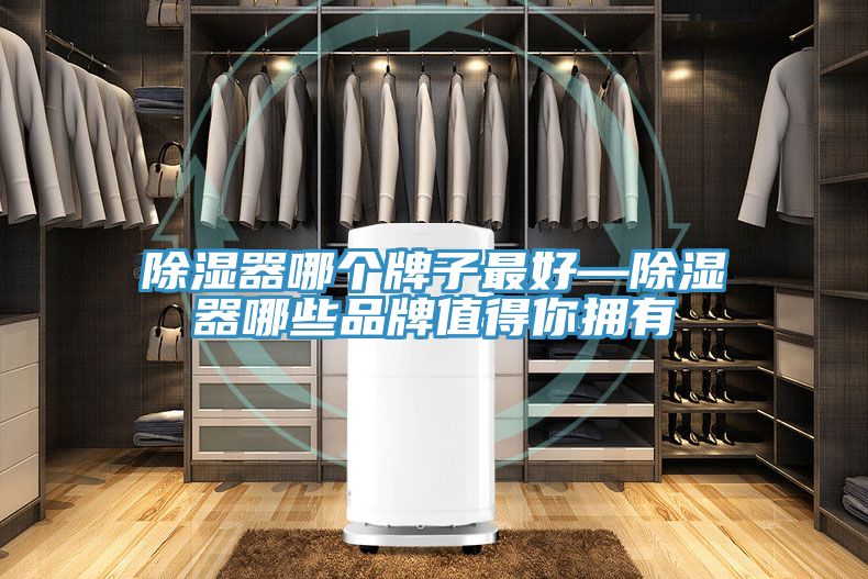 除湿器哪个牌子最好—除湿器哪些品牌值得你拥有