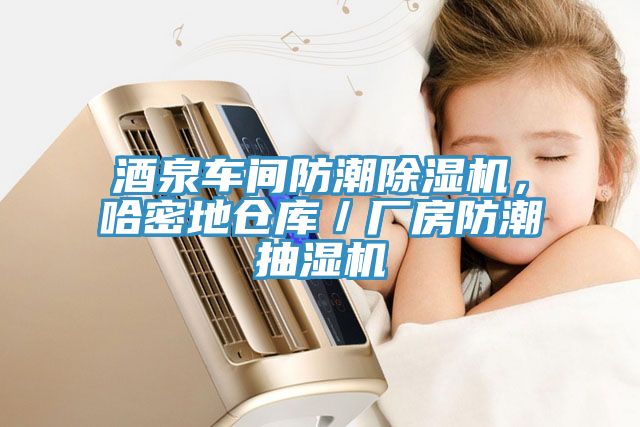 酒泉车间防潮除湿机，哈密地仓库／厂房防潮抽湿机