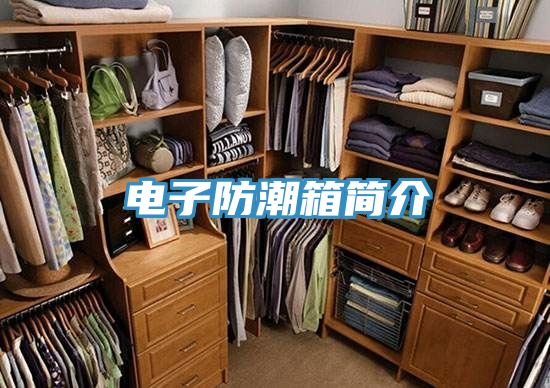 电子防潮箱简介