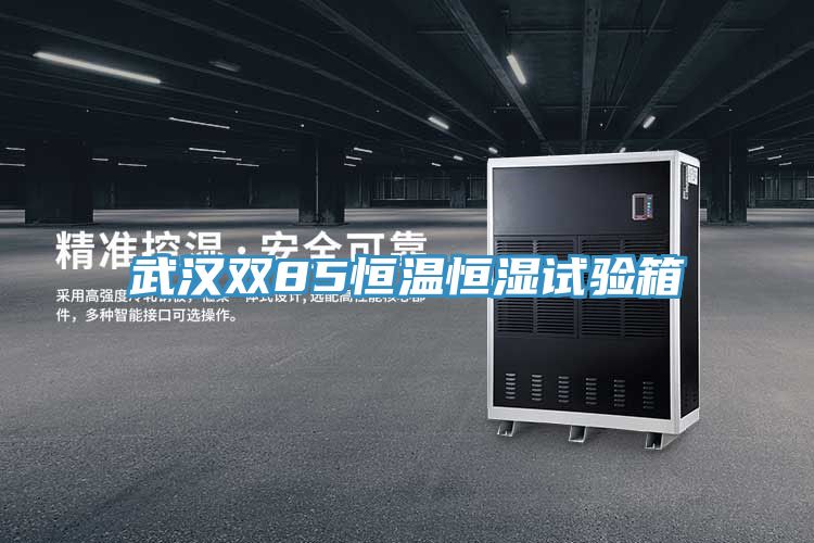 武汉双85恒温恒湿试验箱