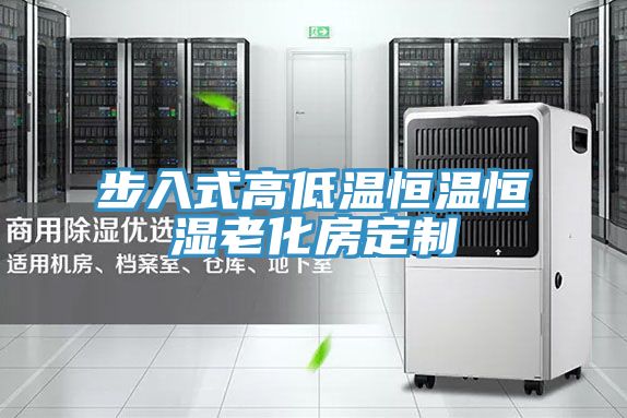 步入式高低温恒温恒湿老化房定制