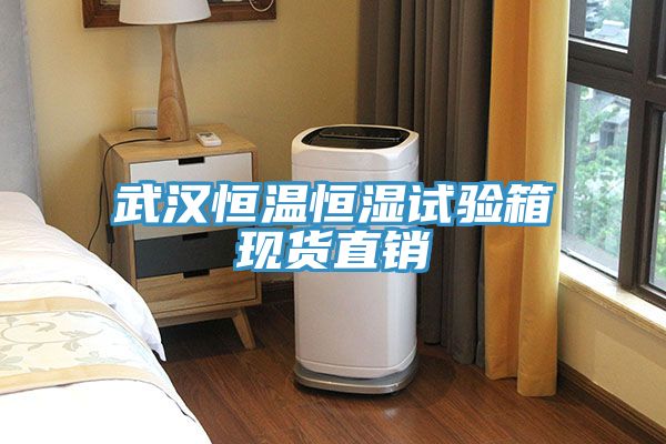 武汉恒温恒湿试验箱现货直销