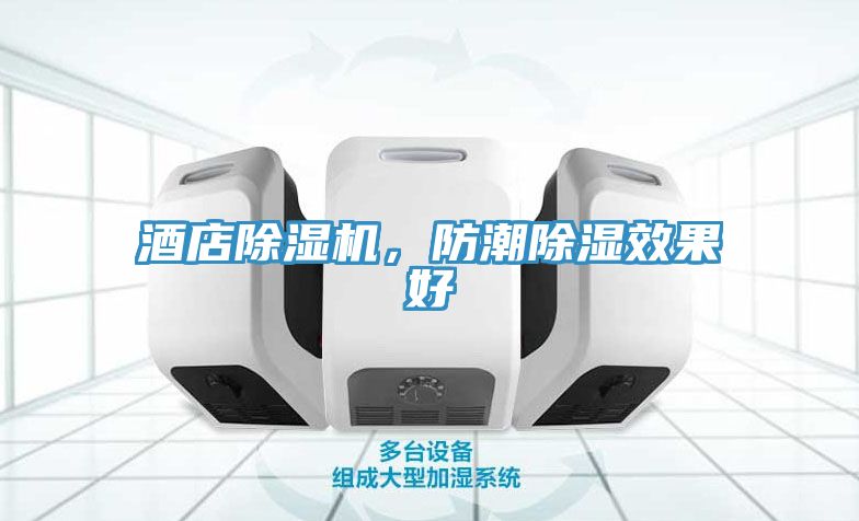 酒店除湿机，防潮除湿效果好