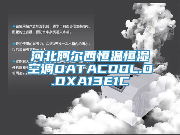 河北阿尔西恒温恒湿空调DATACOOL.O.DXA13E1C