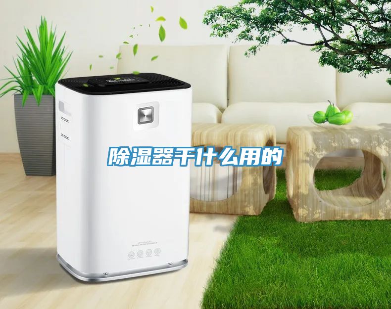 除湿器干什么用的