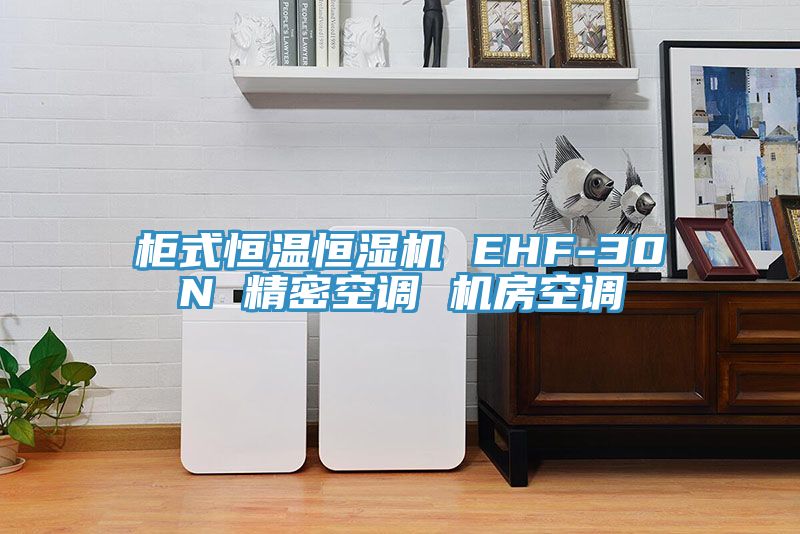 柜式恒温恒湿机 EHF-30N 精密空调 机房空调