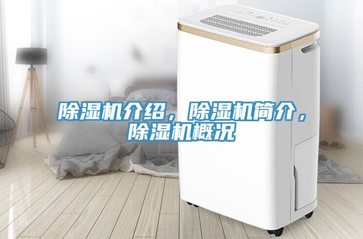 除湿机介绍，除湿机简介，除湿机概况