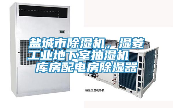 盐城市除湿机，湿菱工业地下室抽湿机  库房配电房除湿器