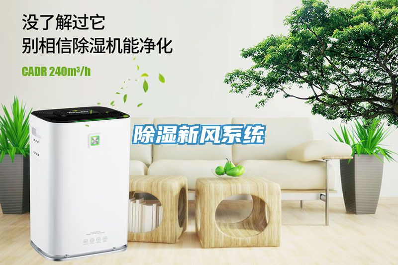 除湿新风系统