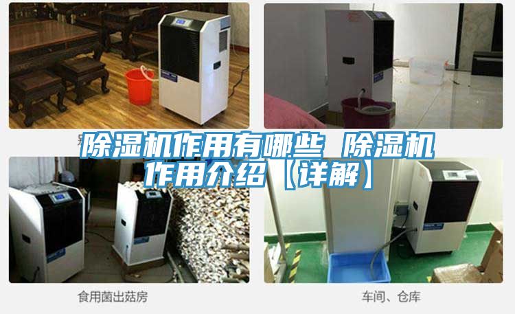 除湿机作用有哪些 除湿机作用介绍【详解】