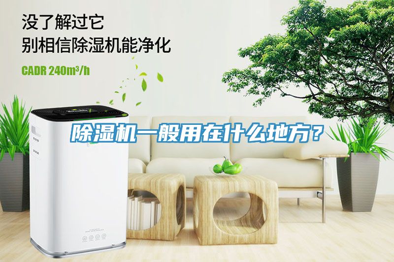 除湿机一般用在什么地方？