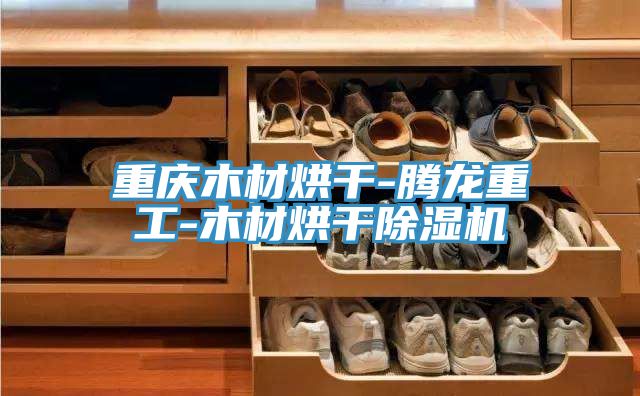重庆木材烘干-腾龙重工-木材烘干除湿机