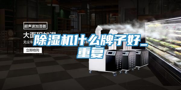 除湿机什么牌子好_重复