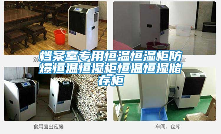 档案室专用恒温恒湿柜防爆恒温恒湿柜恒温恒湿储存柜