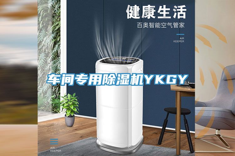 车间专用除湿机YKGY