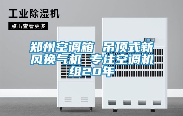 郑州空调箱 吊顶式新风换气机 专注空调机组20年
