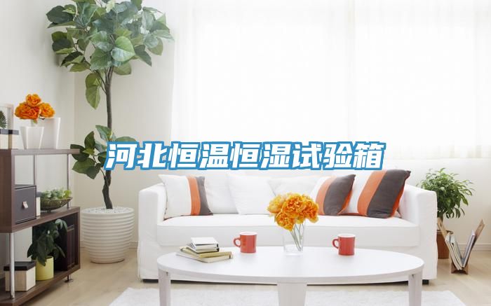 河北恒温恒湿试验箱