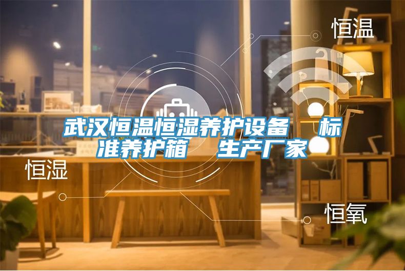 武汉恒温恒湿养护设备  标准养护箱  生产厂家