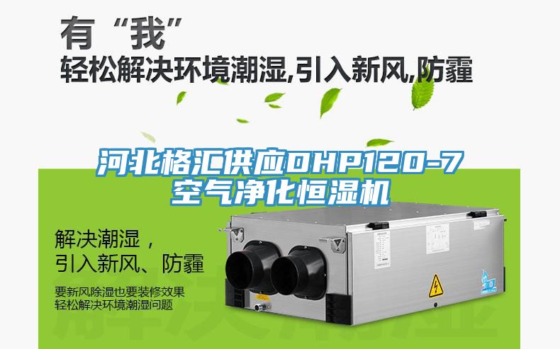 河北格汇供应DHP120-7空气净化恒湿机