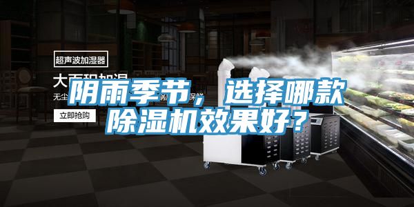 阴雨季节，选择哪款除湿机效果好？