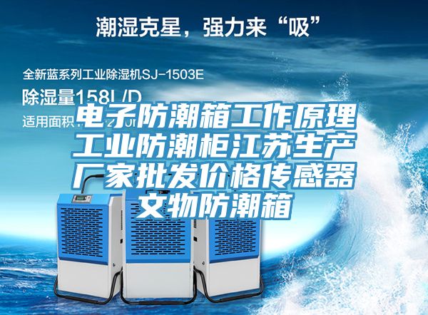 电子防潮箱工作原理工业防潮柜江苏生产厂家批发价格传感器文物防潮箱