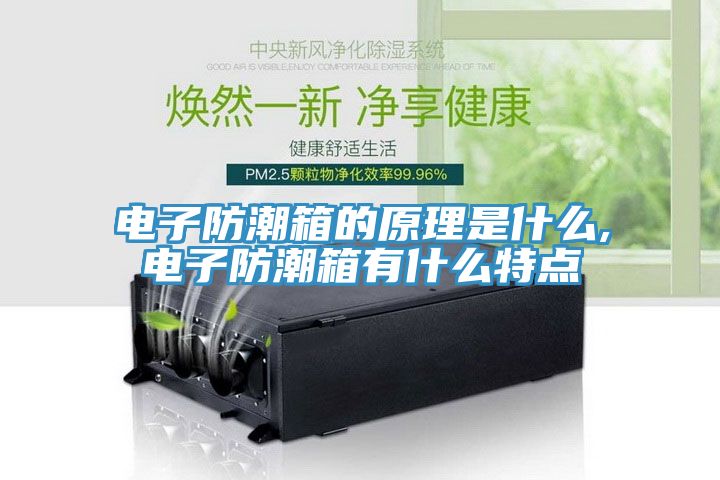电子防潮箱的原理是什么,电子防潮箱有什么特点