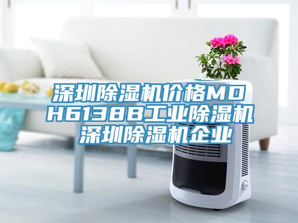 深圳除湿机价格MDH6138B工业除湿机 深圳除湿机企业