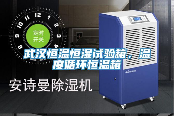 武汉恒温恒湿试验箱，温度循环恒温箱