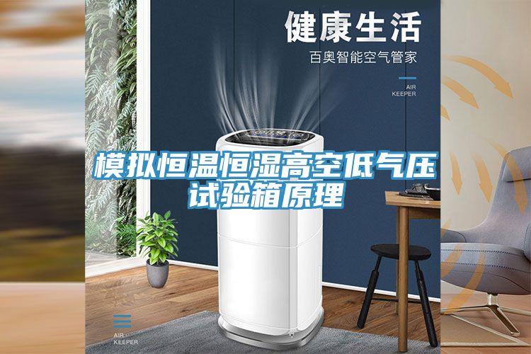 模拟恒温恒湿高空低气压试验箱原理