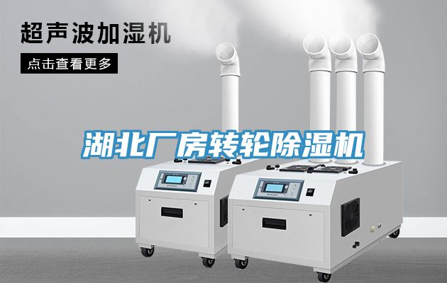 湖北厂房转轮除湿机