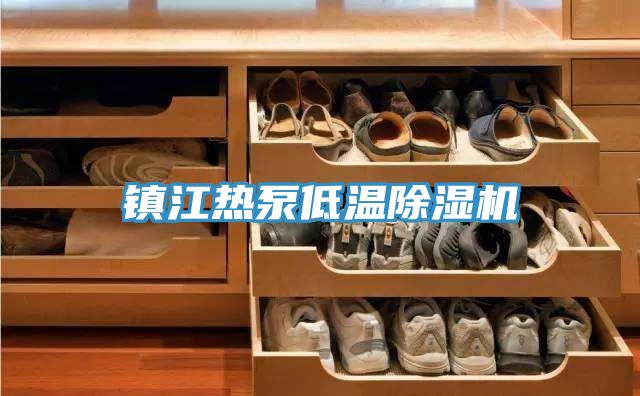 镇江热泵低温除湿机