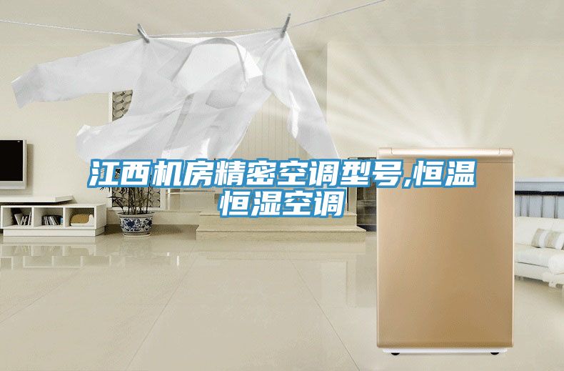 江西机房精密空调型号,恒温恒湿空调