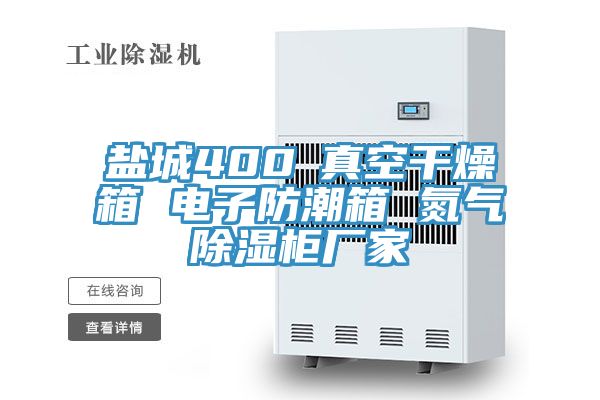 盐城400℃真空干燥箱 电子防潮箱 氮气除湿柜厂家